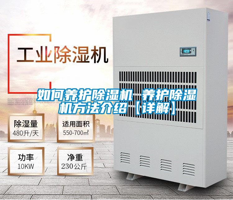 如何养护麻豆视频黄网站 养护麻豆视频黄网站方法介绍【详解】