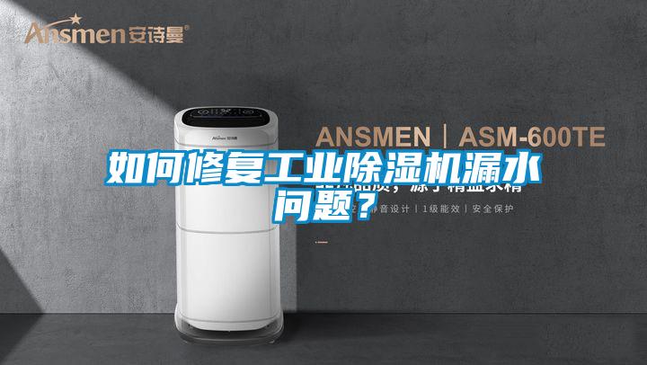 如何修复工业麻豆视频黄网站漏水问题？