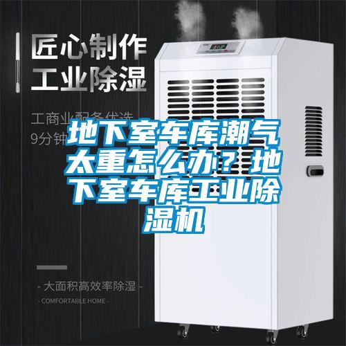 地下室车库潮气太重怎么办？地下室车库工业麻豆视频黄网站