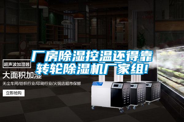 厂房除湿控温还得靠转轮麻豆视频黄网站厂家组!