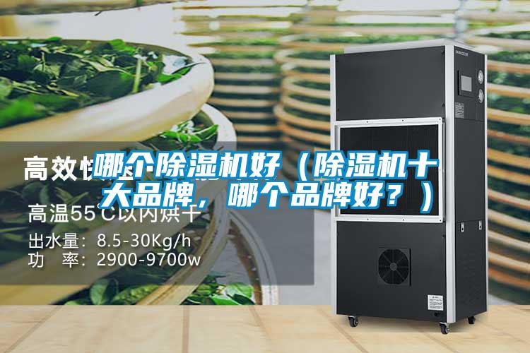 哪个麻豆视频黄网站好（麻豆视频黄网站十大品牌，哪个品牌好？）