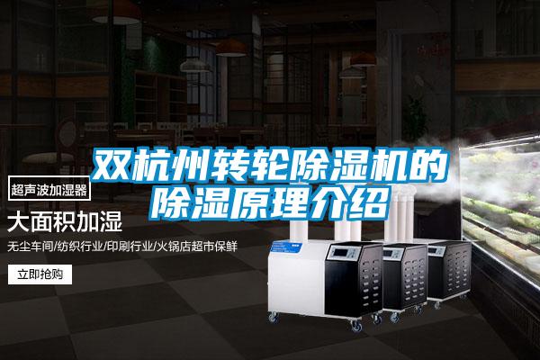 双杭州转轮麻豆视频黄网站的除湿原理介绍