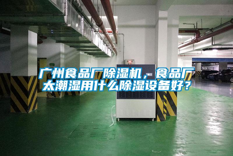 广州食品厂麻豆视频黄网站，食品厂太潮湿用什么除湿设备好？