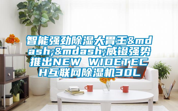 智能强劲除湿大胃王——威镫强势推出NEW WIDETECH互联网麻豆视频黄网站30L