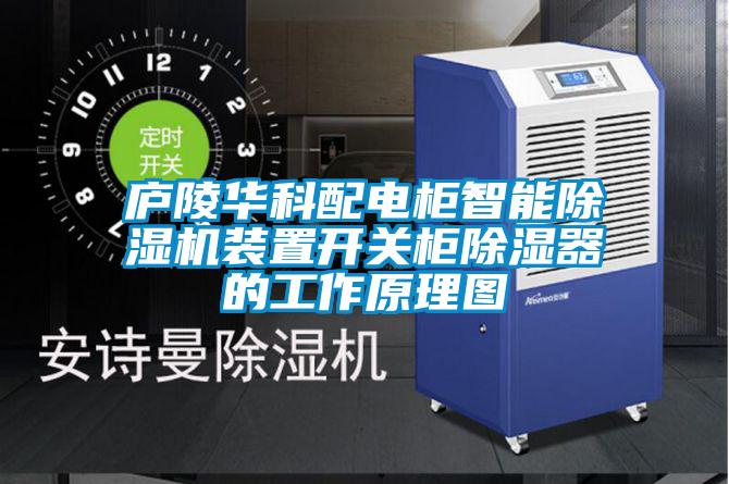 庐陵华科配电柜智能麻豆视频黄网站装置开关柜除湿器的工作原理图