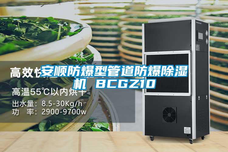 安顺防爆型管道防爆麻豆视频黄网站 BCGZ10