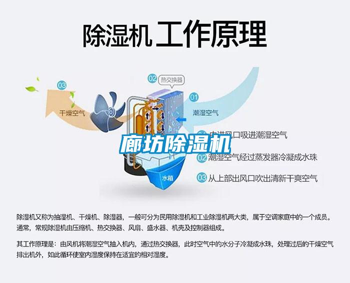 廊坊麻豆视频黄网站