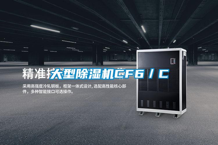 大型麻豆视频黄网站CF6／C