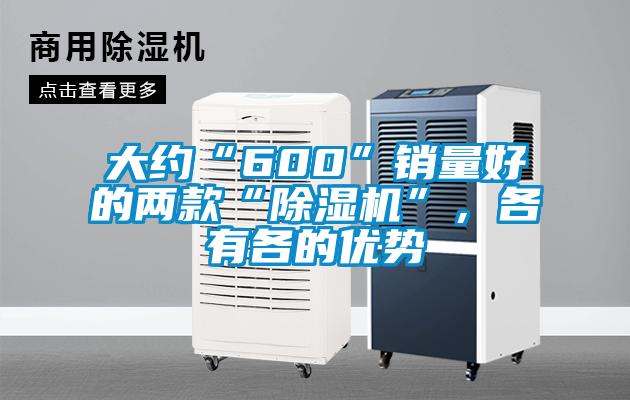 大约“600”销量好的两款“麻豆视频黄网站”，各有各的优势