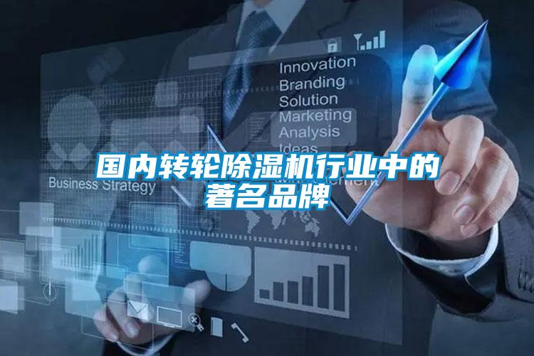 国内转轮麻豆视频黄网站行业中的著名品牌