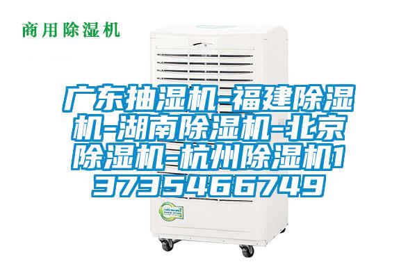 广东抽湿机-福建麻豆视频黄网站-湖南麻豆视频黄网站-北京麻豆视频黄网站-杭州麻豆视频黄网站13735466749