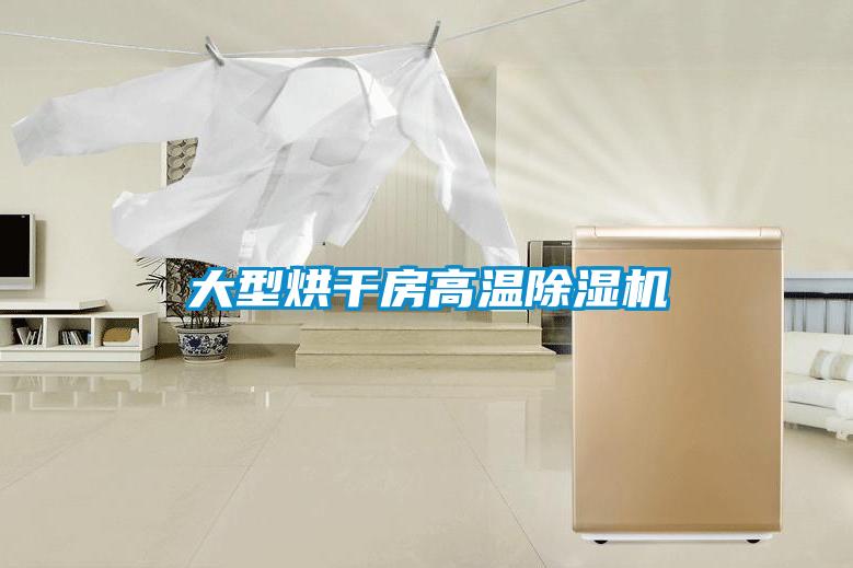大型烘干房高温麻豆视频黄网站