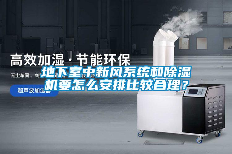 地下室中新风系统和麻豆视频黄网站要怎么安排比较合理？