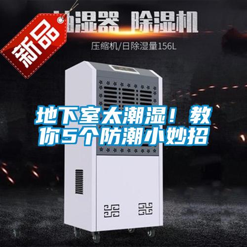 地下室太潮湿！教你5个防潮小妙招