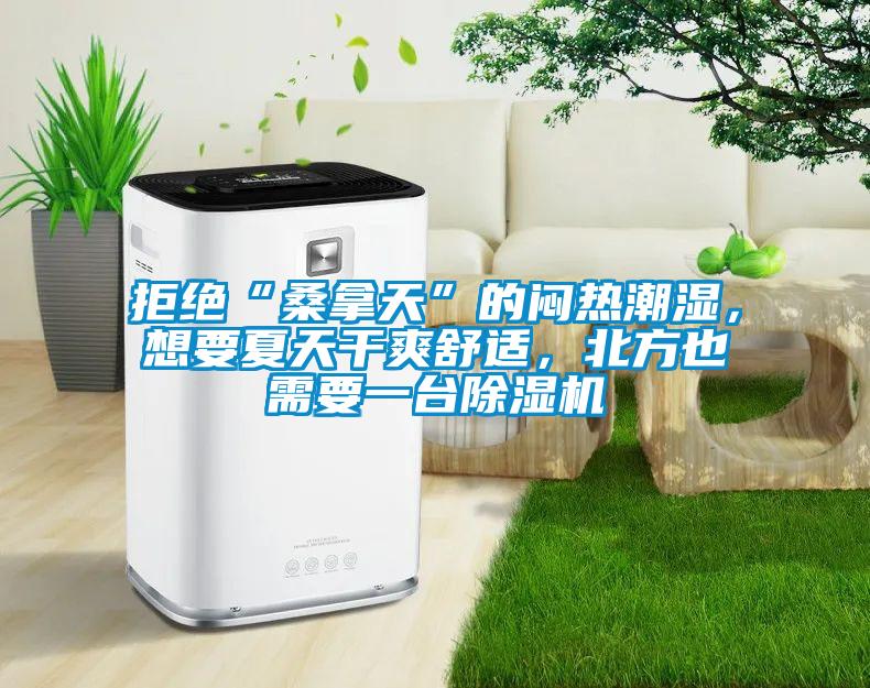 拒绝“桑拿天”的闷热潮湿，想要夏天干爽舒适，北方也需要一台麻豆视频黄网站