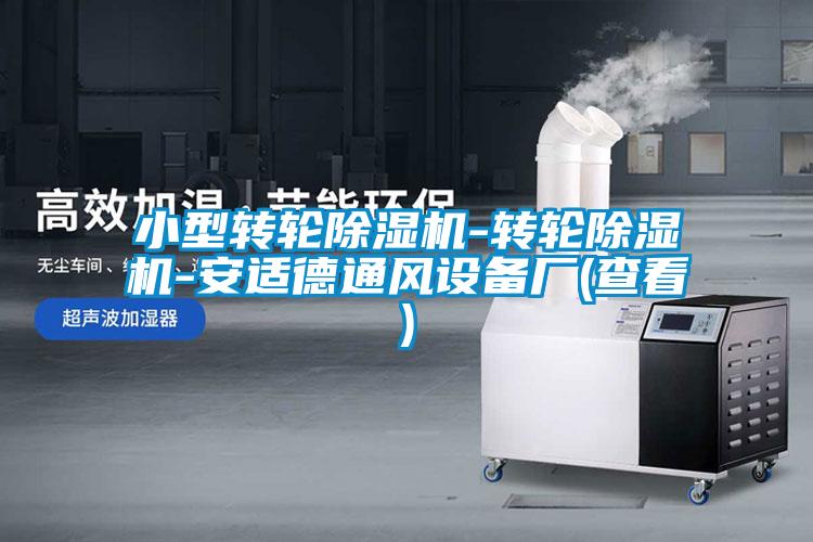 小型转轮麻豆视频黄网站-转轮麻豆视频黄网站-安适德通风设备厂(查看)