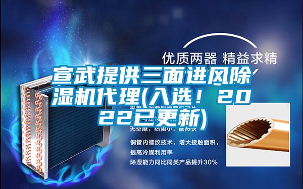 宣武提供三面进风麻豆视频黄网站代理(入选！2022已更新)