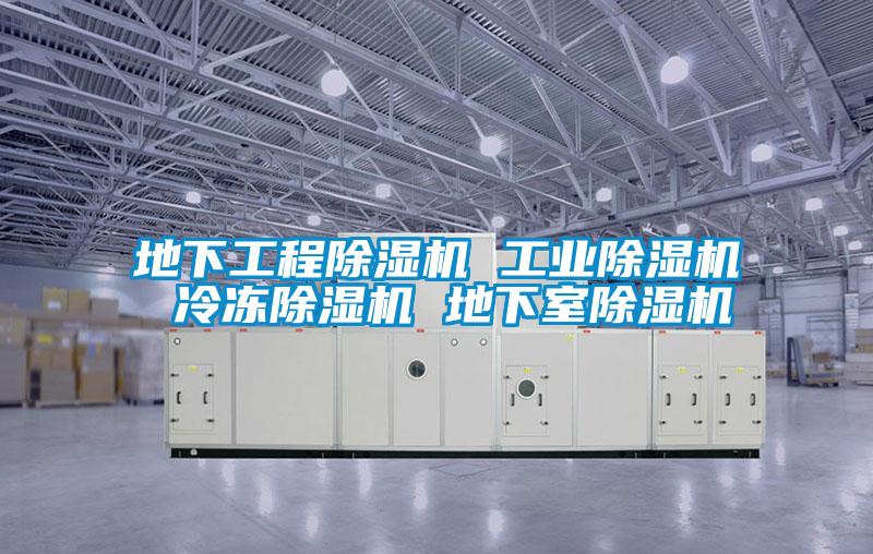 地下工程麻豆视频黄网站 工业麻豆视频黄网站 冷冻麻豆视频黄网站 地下室麻豆视频黄网站