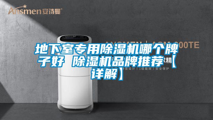 地下室专用麻豆视频黄网站哪个牌子好 麻豆视频黄网站品牌推荐【详解】