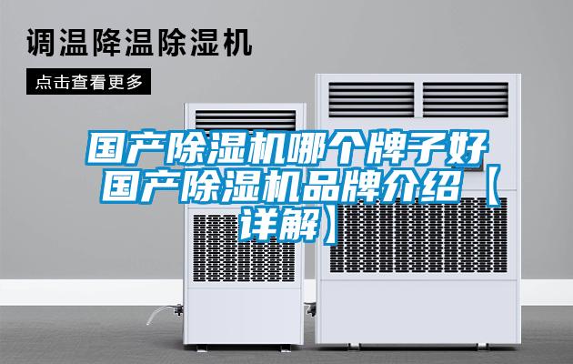国产麻豆视频黄网站哪个牌子好 国产麻豆视频黄网站品牌介绍【详解】