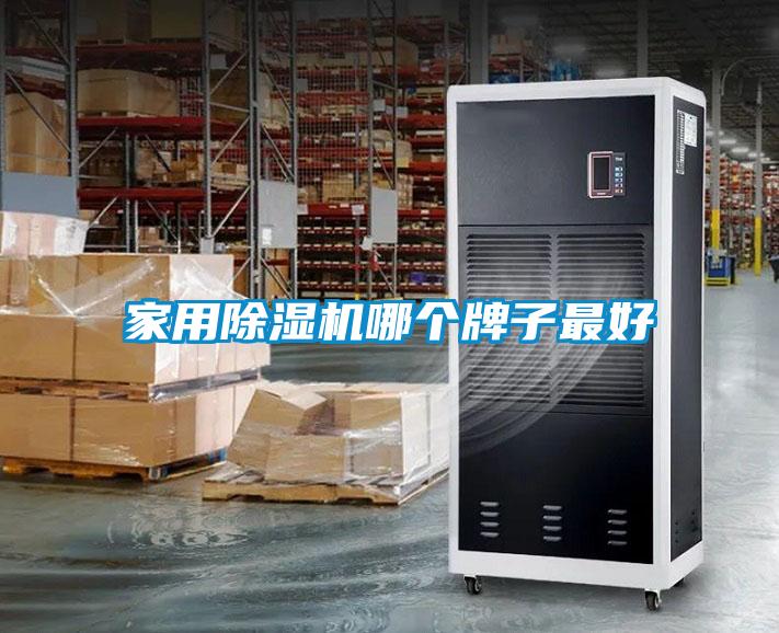 家用麻豆视频黄网站哪个牌子最好