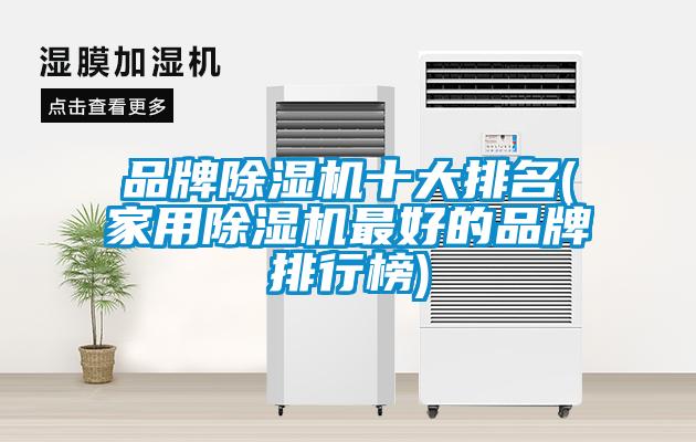 品牌麻豆视频黄网站十大排名(家用麻豆视频黄网站最好的品牌排行榜)