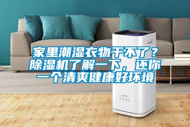 家里潮湿衣物干不了？麻豆视频黄网站了解一下，还你一个清爽健康好环境