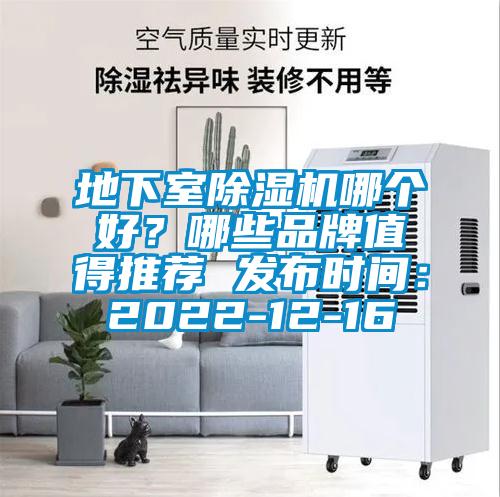 地下室麻豆视频黄网站哪个好？哪些品牌值得推荐 发布时间：2022-12-16