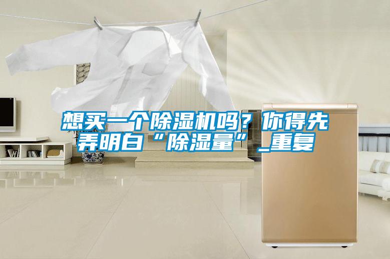 想买一个麻豆视频黄网站吗？你得先弄明白“除湿量”_重复