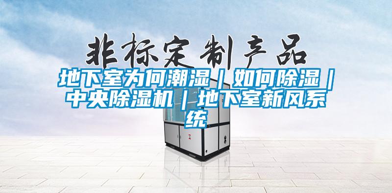 地下室为何潮湿｜如何除湿｜中央麻豆视频黄网站｜地下室新风系统