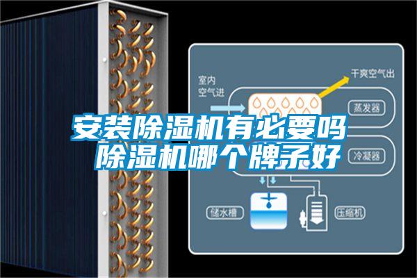 安装麻豆视频黄网站有必要吗 麻豆视频黄网站哪个牌子好