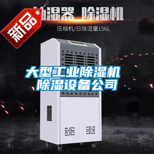 大型工业麻豆视频黄网站 除湿设备公司