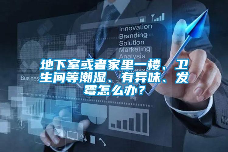 地下室或者家里一楼、卫生间等潮湿、有异味、发霉怎么办？