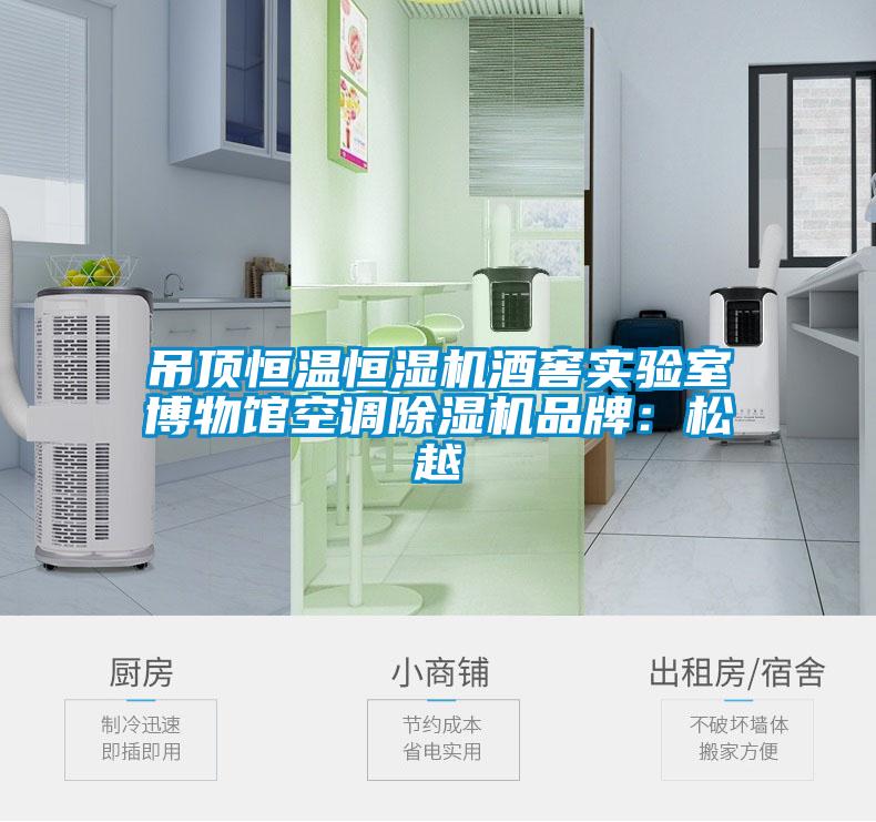 吊顶恒温恒湿机酒窖实验室博物馆空调麻豆视频黄网站品牌：松越