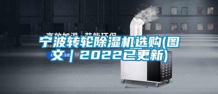 宁波转轮麻豆视频黄网站选购(图文｜2022已更新)