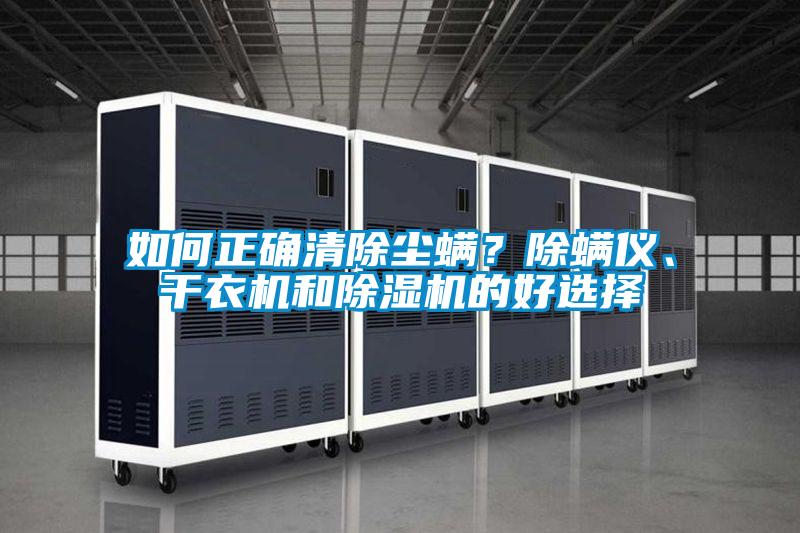 如何正确清除尘螨？除螨仪、干衣机和麻豆视频黄网站的好选择