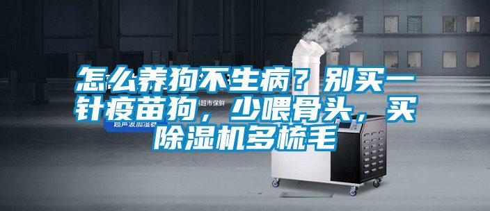 怎么养狗不生病？别买一针疫苗狗，少喂骨头，买麻豆视频黄网站多梳毛