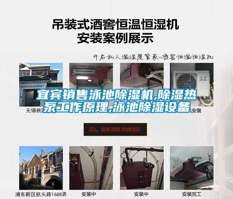 宜宾销售泳池麻豆视频黄网站,除湿热泵工作原理,泳池除湿设备