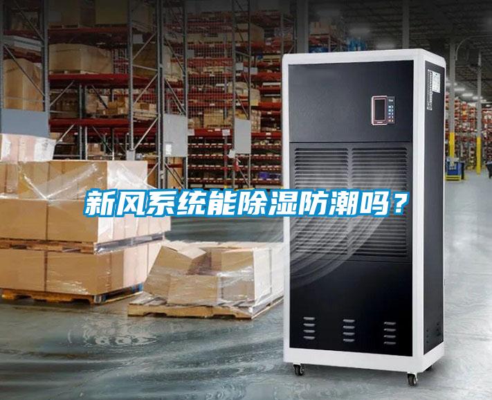 新风系统能除湿防潮吗？