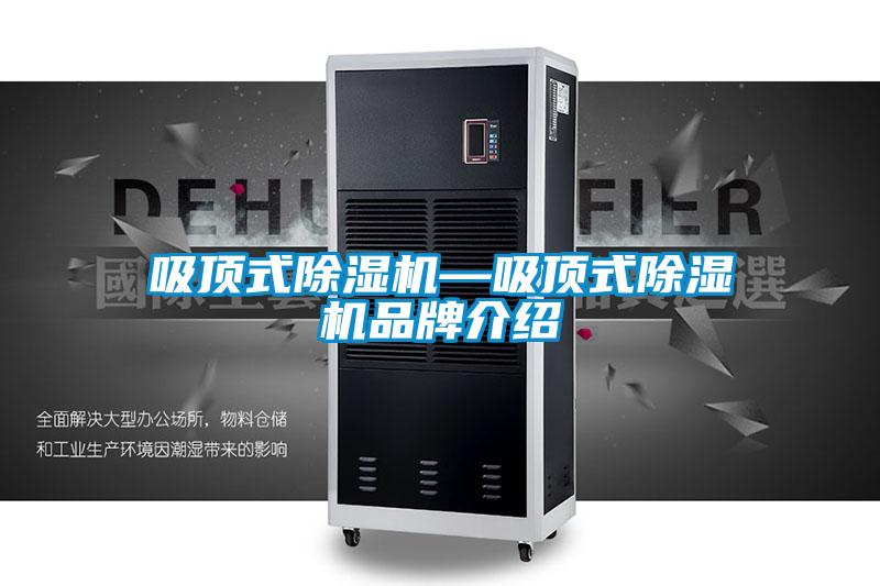吸顶式麻豆视频黄网站—吸顶式麻豆视频黄网站品牌介绍