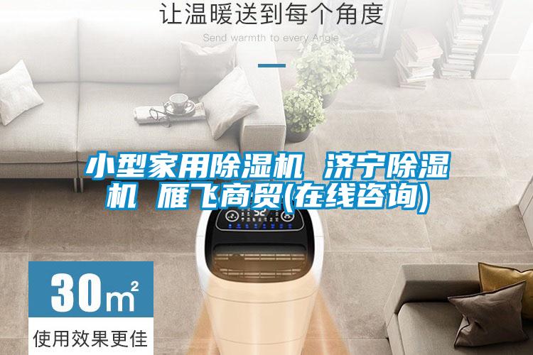 小型家用麻豆视频黄网站 济宁麻豆视频黄网站 雁飞商贸(在线咨询)