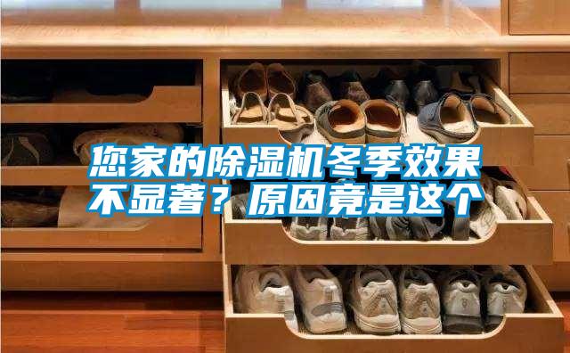 您家的麻豆视频黄网站冬季效果不显著？原因竟是这个