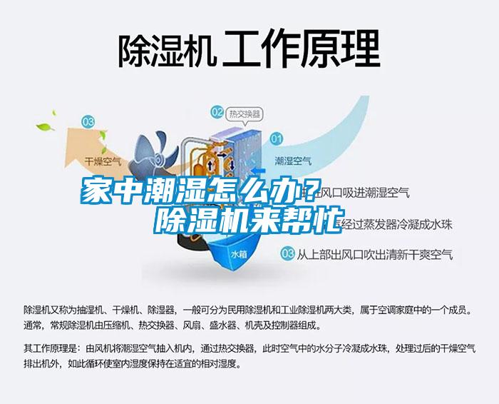 家中潮湿怎么办？    麻豆视频黄网站来帮忙