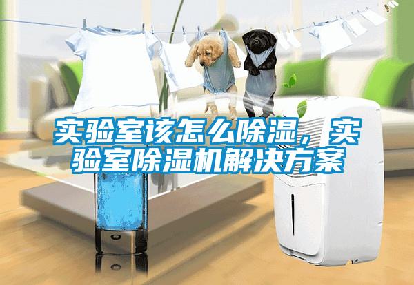 实验室该怎么除湿，实验室麻豆视频黄网站国产麻豆剧果冻传媒星空视频