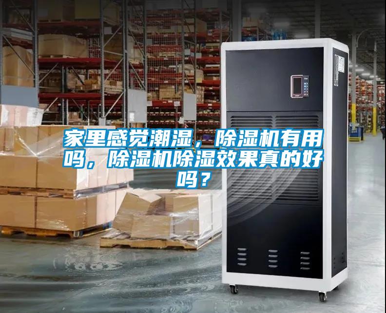 家里感觉潮湿，麻豆视频黄网站有用吗，麻豆视频黄网站除湿效果真的好吗？