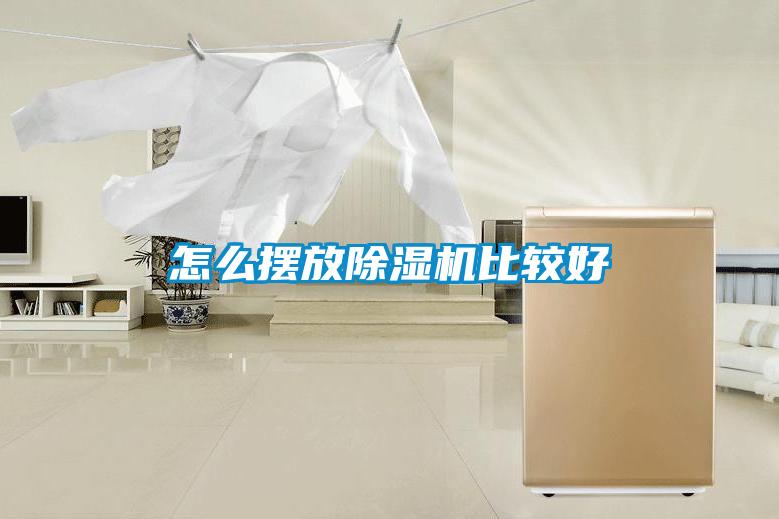 怎么摆放麻豆视频黄网站比较好