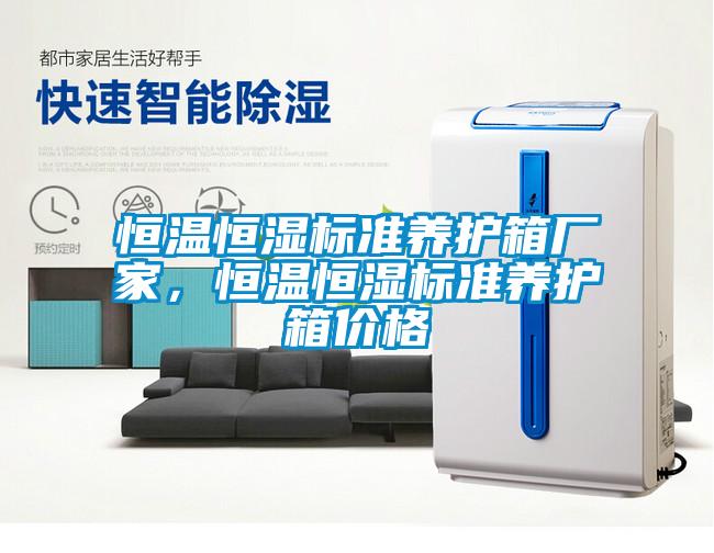 恒温恒湿标准养护箱厂家，恒温恒湿标准养护箱价格