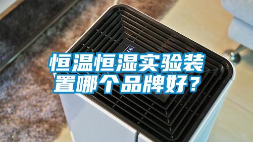 恒温恒湿实验装置哪个品牌好？