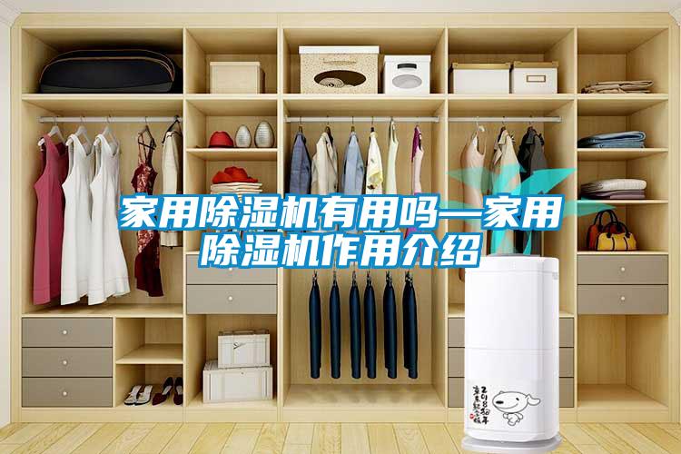 家用麻豆视频黄网站有用吗—家用麻豆视频黄网站作用介绍