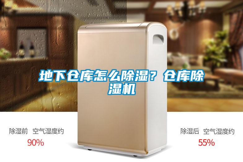 地下仓库怎么除湿？仓库麻豆视频黄网站